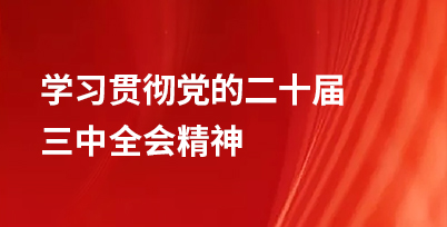 學(xué)習(xí)貫徹黨的二十屆三中全會(huì)精神